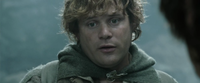 200px-Sean_Astin_as_Samwise_Gamgee.png