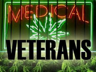 veterans-marijuana-328271_tn.jpg
