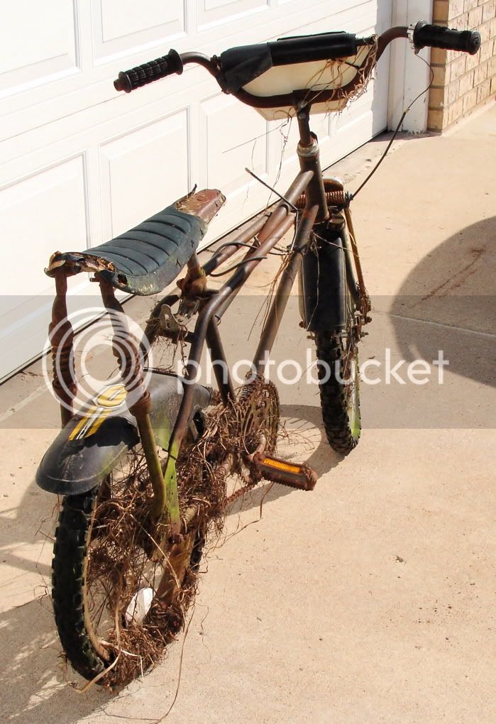 GBPackerbike3.jpg