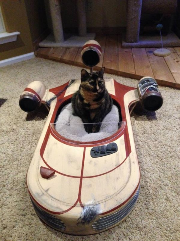 landspeeder-cat-bed.jpeg