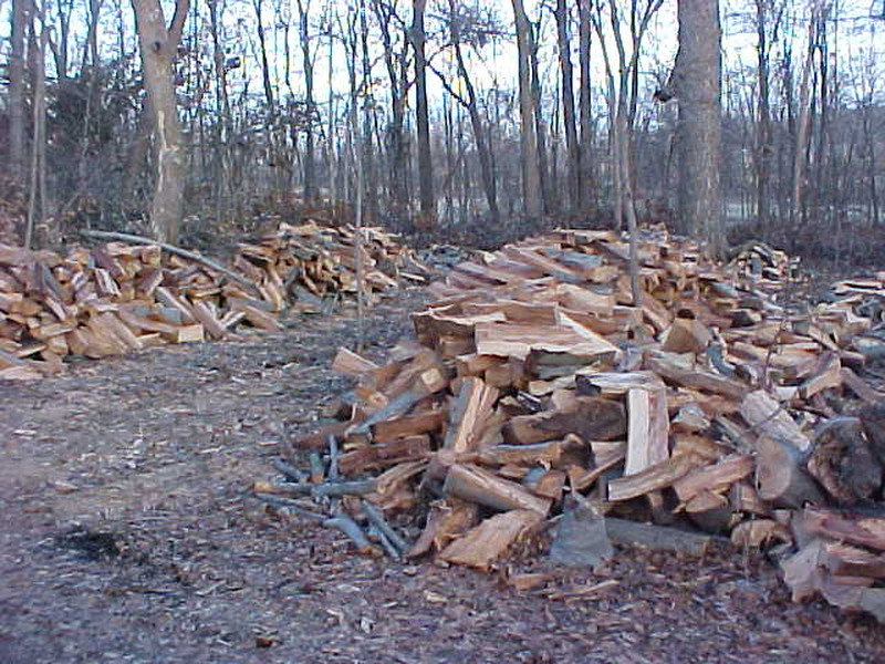 wood%20from%20beech.JPG