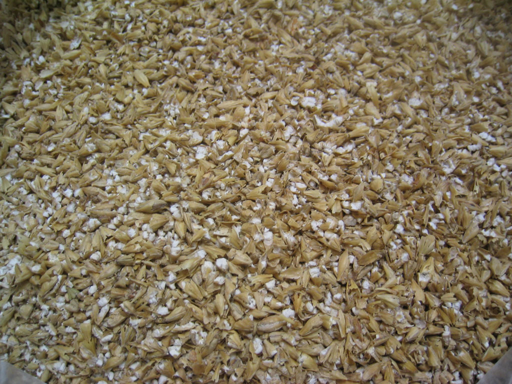 finely_crushed_grain1.jpg