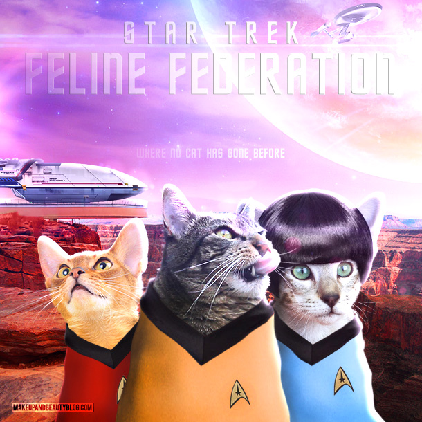 tabs-star-trek-feline-federation-flares.jpg