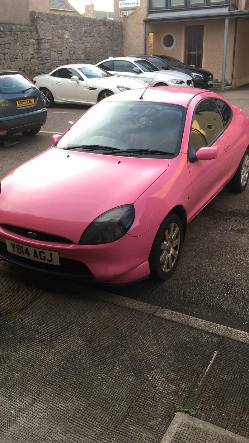 The Pink Puma at North Harbour Ford 