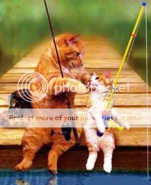 funny-cat-picture-fishing-cats.jpg