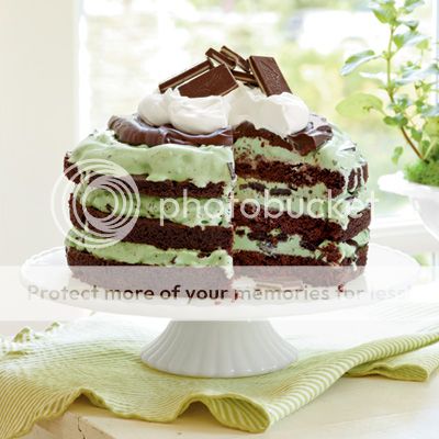 mint-chocolate-ice-cream-cake-l.jpg