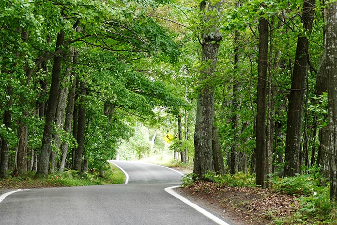 50 Best Motorcycle Roads in America 20. Tunnel of Trees Scenic Heritage Route (Michigan / 20 miles)