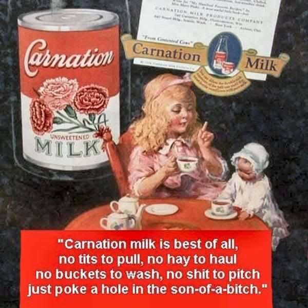 carnation_instant_milk.jpg