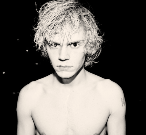 evan-evan-thomas-peters-27631122-500-464.png