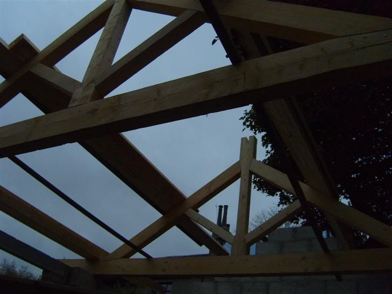 trusses2.jpg