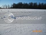 th_Snow009_zps739692ea.jpg