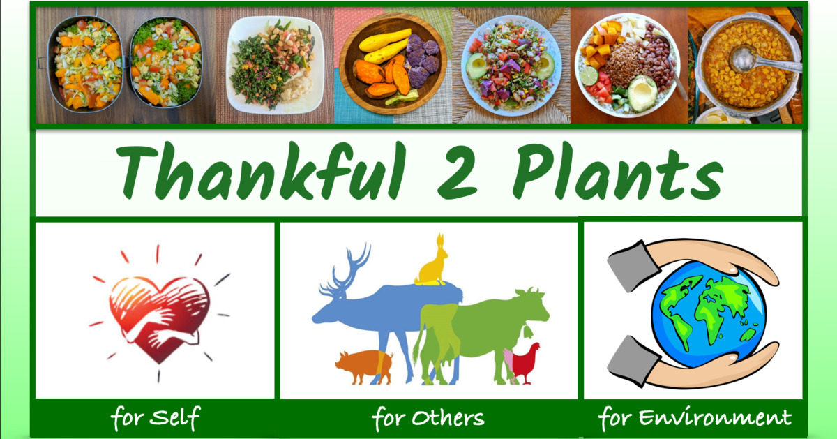 thankful2plants.com