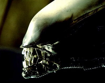 alien-2003.jpg