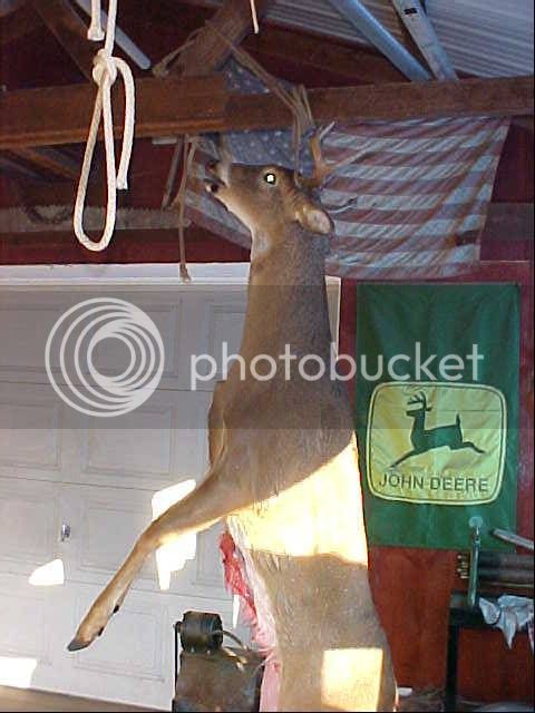 eightpointbuck.jpg