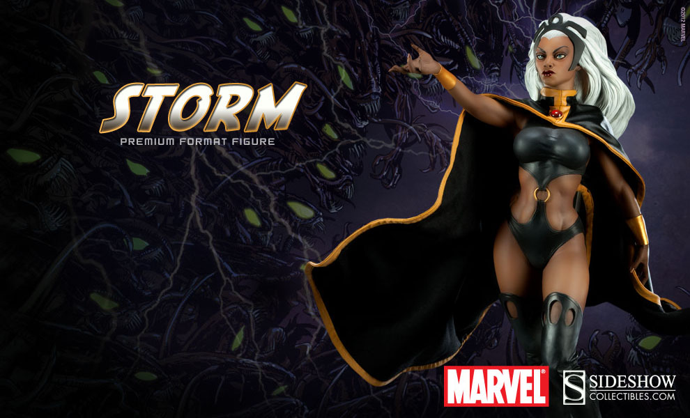 Storm-Premium-Format-Figure-Preview_1330696263.jpg