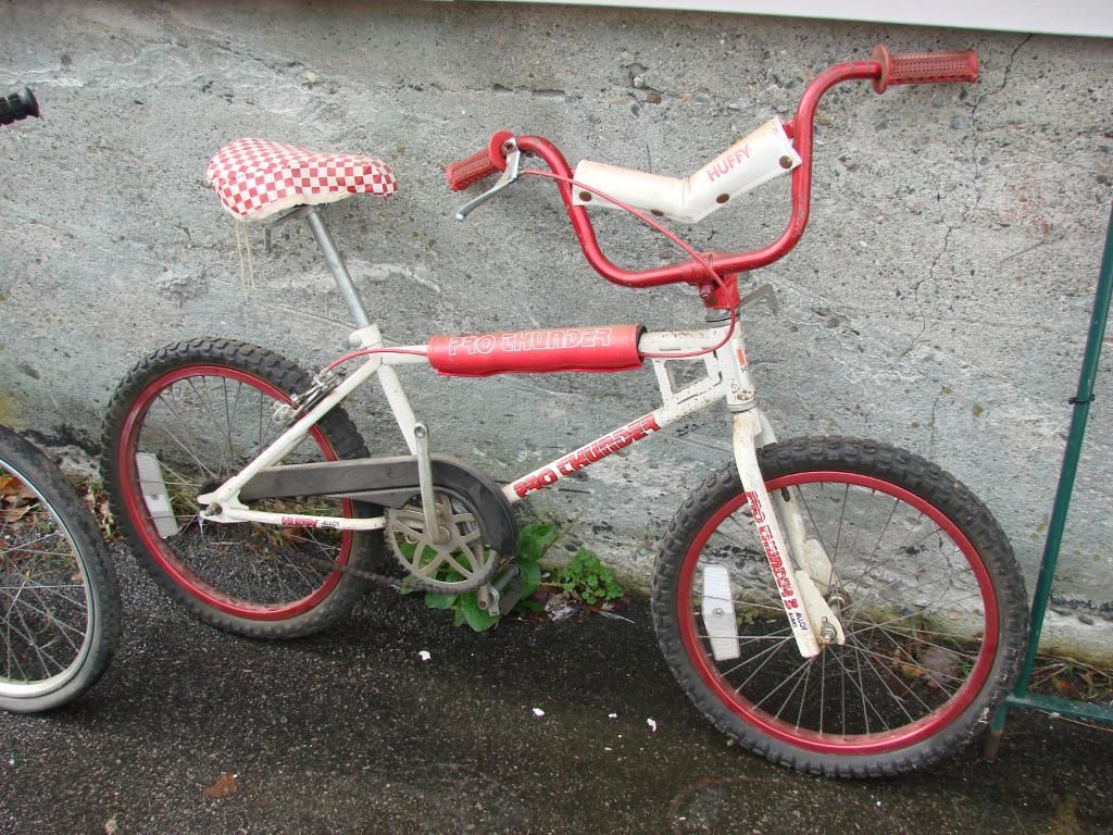 Sears hotsell bmx bikes