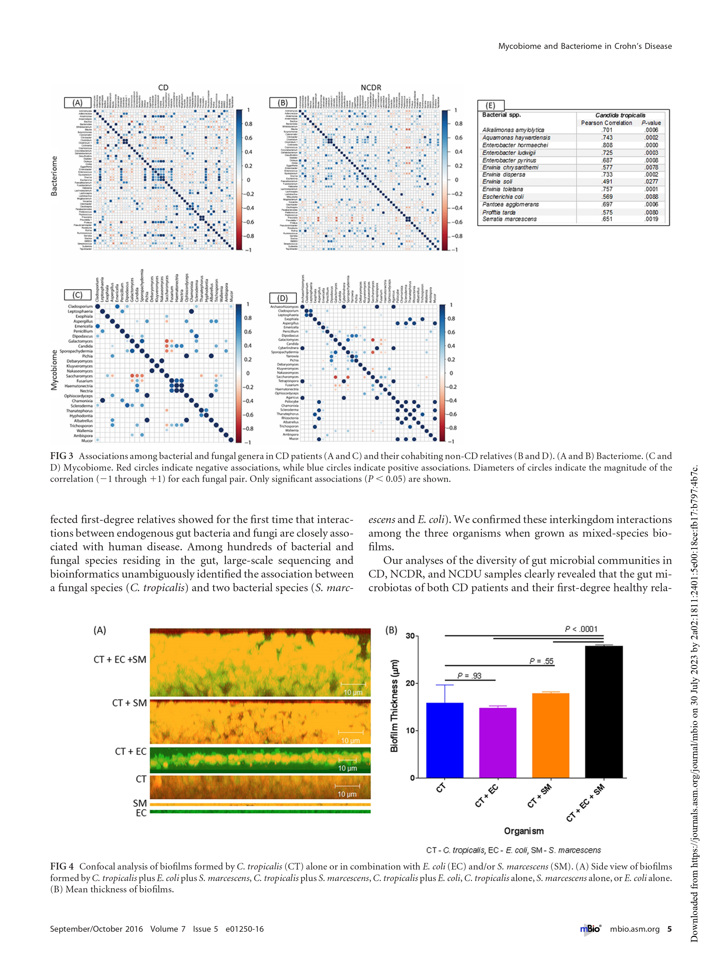 mbi-page-0005.jpg