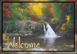 welcome-picture.gif