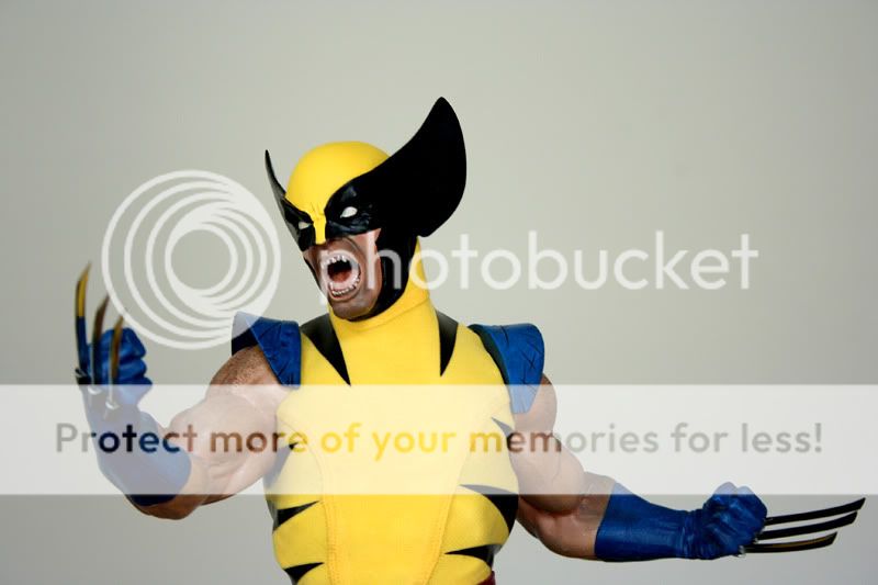 Wolverine6.jpg