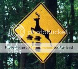 deercrossing.jpg