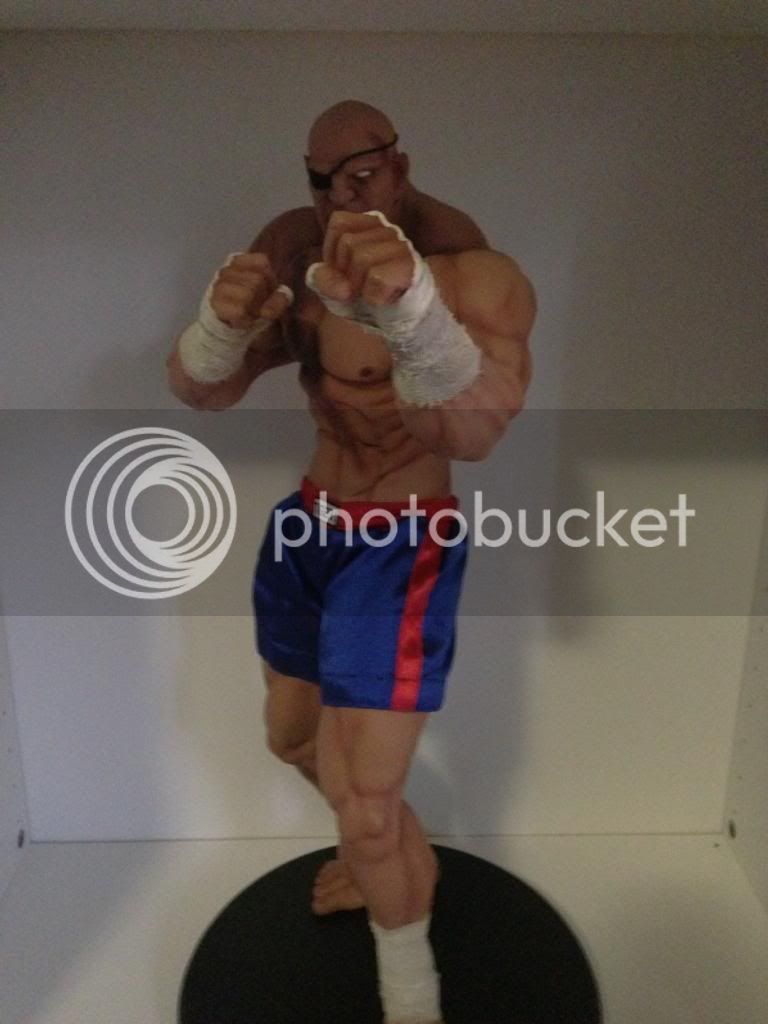 sagat4.jpg