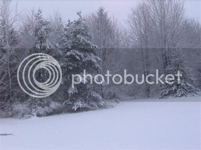 snow4-6-09001Small.jpg