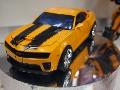 Bumblebee_03_1284646162.jpg