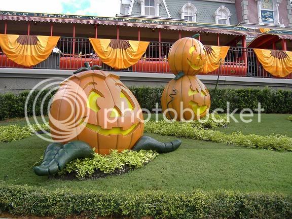 WDWPumpkins.jpg