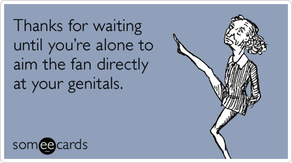 fan-genitals-summer-heat-thank-you-thanks-ecards-someecards.png