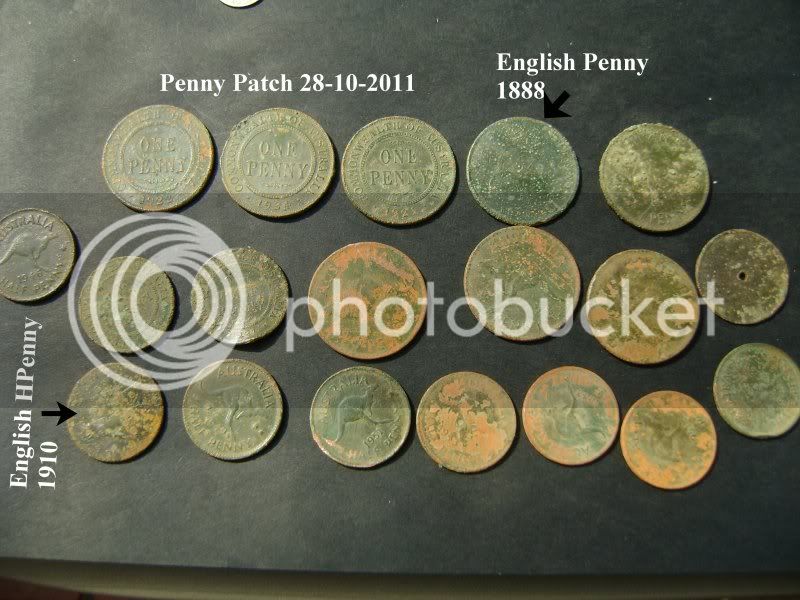 PennyPatch28-10-2011.jpg