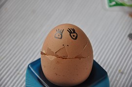 egg-85187__180.jpg