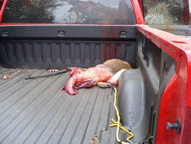 Deer_Strike_image007.jpg