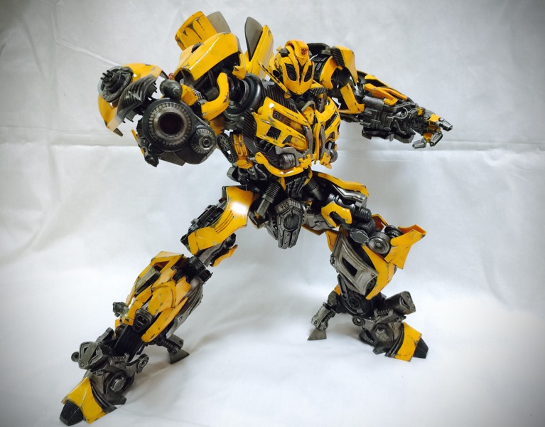 3A_bumblebee023.jpg