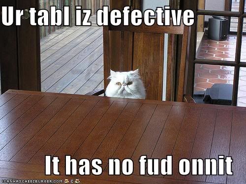 funny-pictures-cat-says-your-table-.jpg