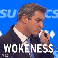 Politics What GIF by ZDF heute-show