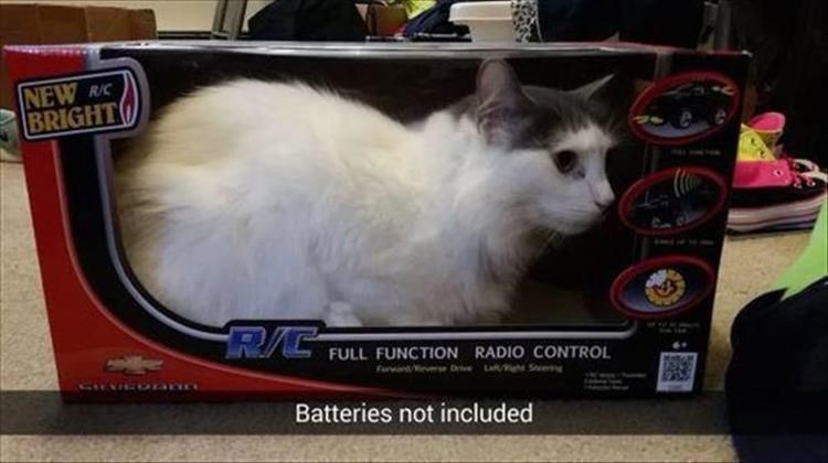 cat-new-ric-bright-rc-full-function-radio-control-fuin-v-batteries-not-included