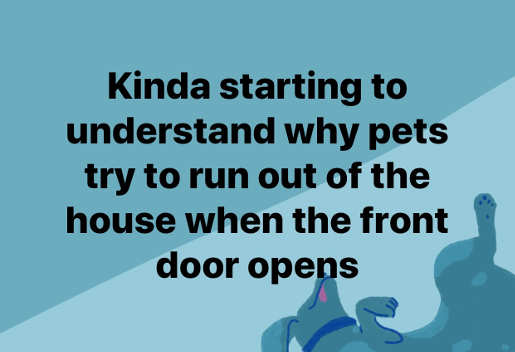 kinda-starting-to-understand-why-pets-try-to-run-out-of-house-when-door-opens.jpg