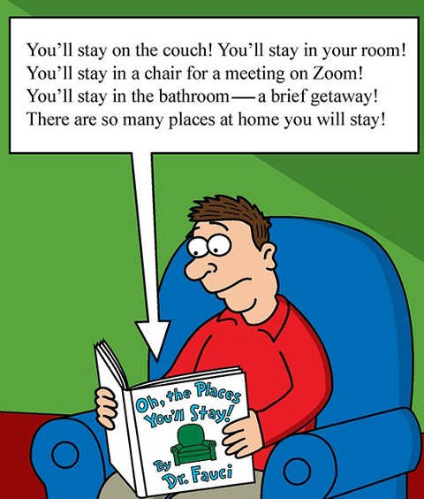oh-places-youll-stay-dr-fauci-stay-on-couch-in-room-meeting-on-zoom-seuss.jpg