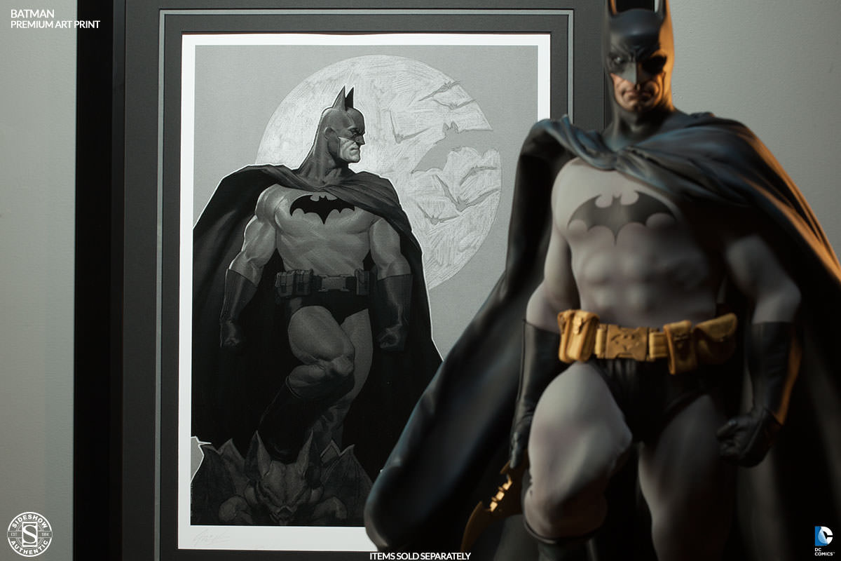 500274-batman-sentinel-of-gotham-003.jpg