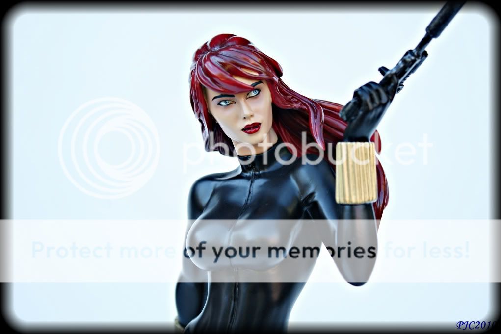 BlackWidow12.jpg