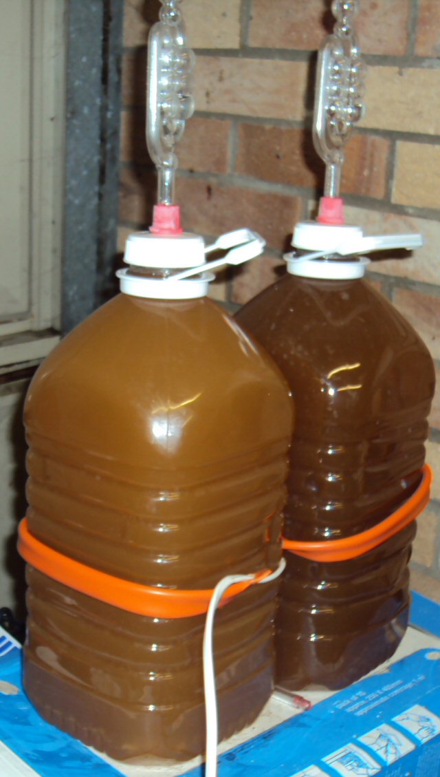 cider07.jpg