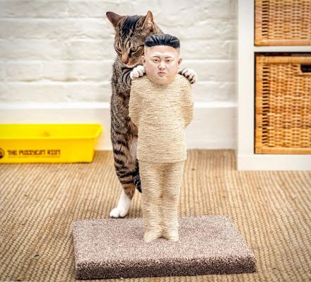 kim-jong-un-cat-scratching-post-thumb.jpg
