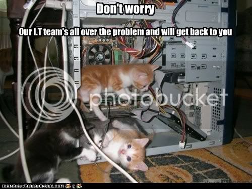 funny-cat-pictures-lolcats-dont-worry.jpg