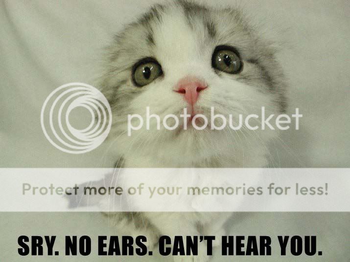 NOEARS.jpg