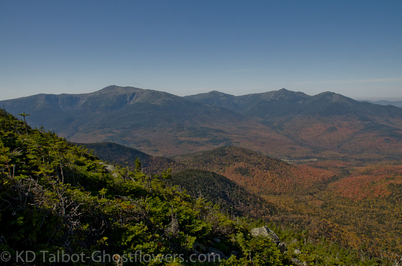 20111008-_DSC0060.jpg