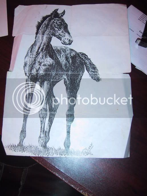 horsesketch.jpg