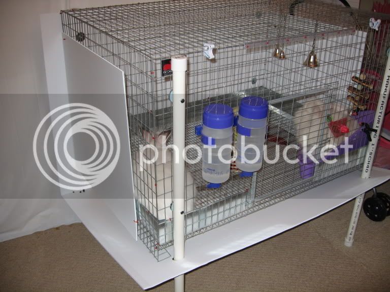 Astrolabe fordøje rangle My new tray idea for wire bottom cages | Rabbits Online Pet Rabbit & Bunny  Forum