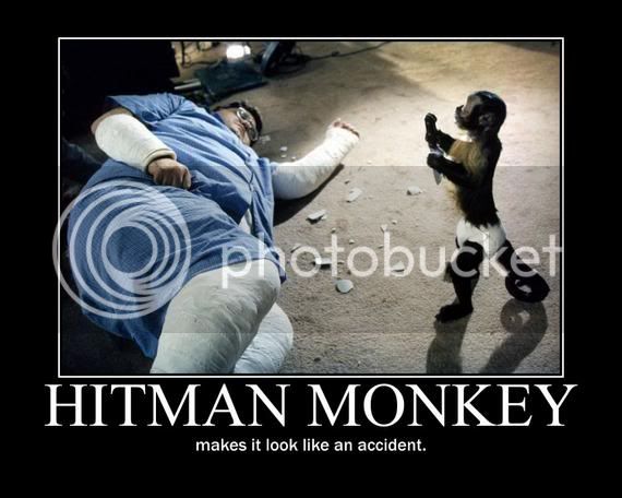 hitman-monkey12.jpg