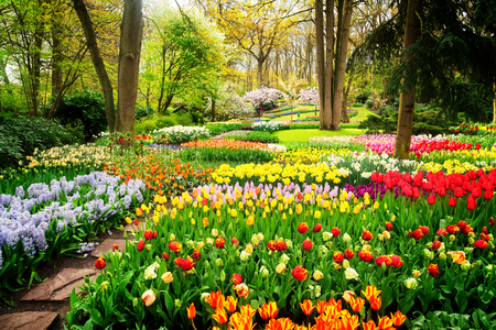 88712711-colourful-tulips-flowerbeds-and-path-in-an-spring-formal-garden-retro-toned.jpg