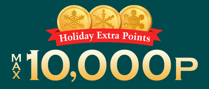 holiday point banner